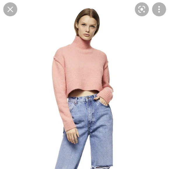 Super Cropped Zara Cropped Knit Turtleneck The Minimal Mesha